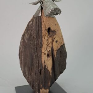 Vache 1