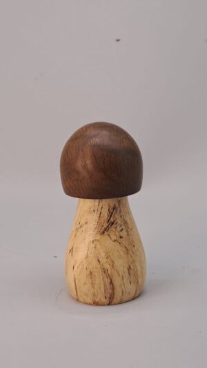 Poivrier mini bolet