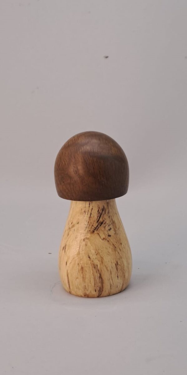 Poivrier mini bolet